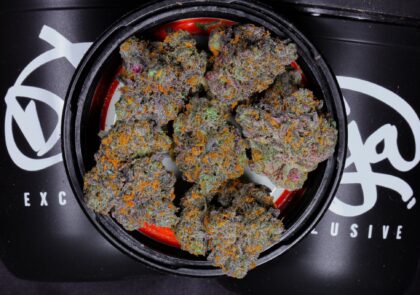 Buy Doja Jars Online